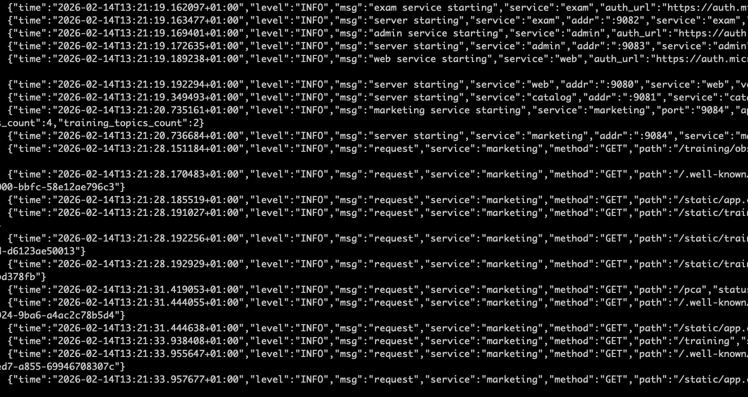 Log-based monitoring example